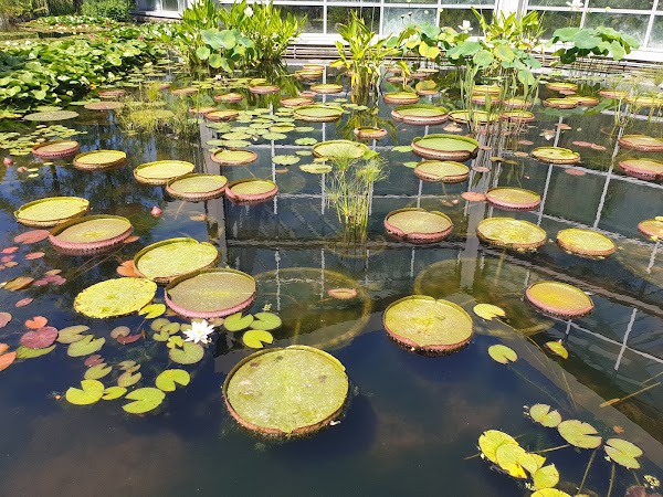 Palm Gardens 2