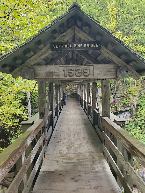 Sentinel Pine Covered Bridge 5