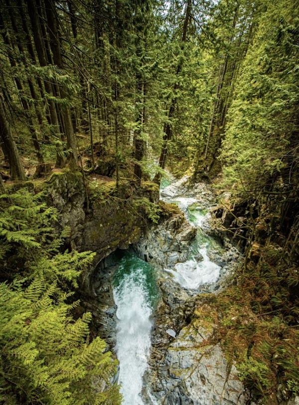 Cascade Falls Regional Park 3
