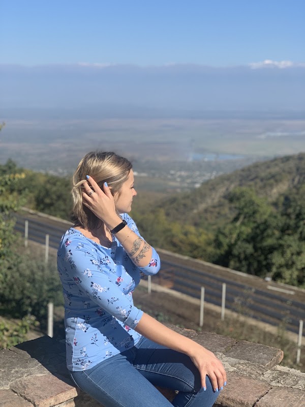 ალაზნის ვაკე 3