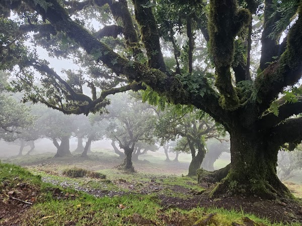 Madeira 6
