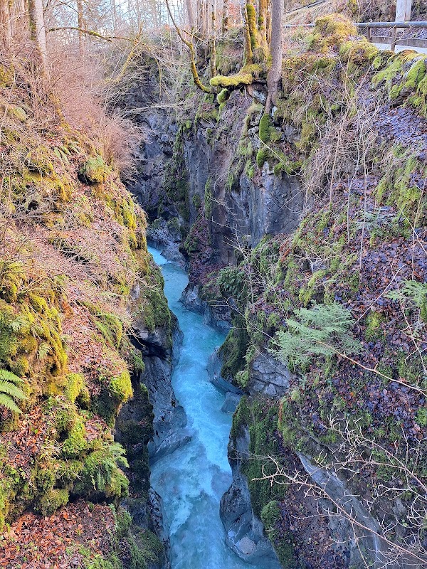 Zauberwald 2