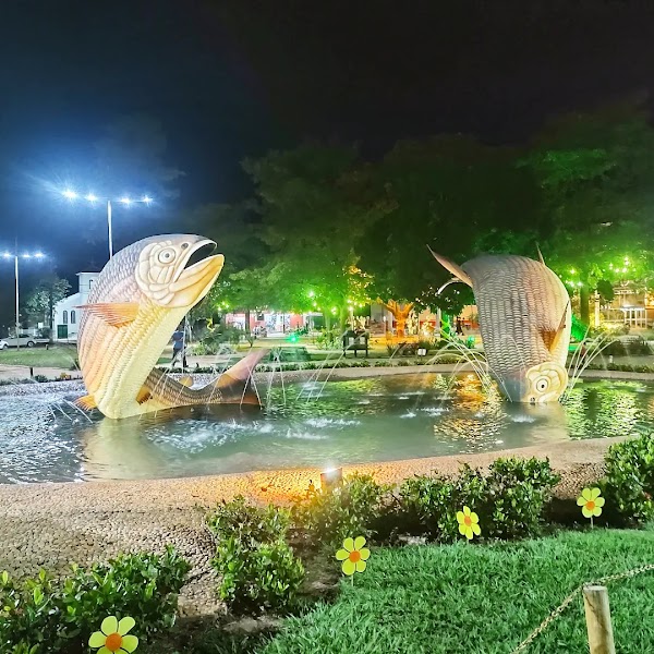 Bonito 3
