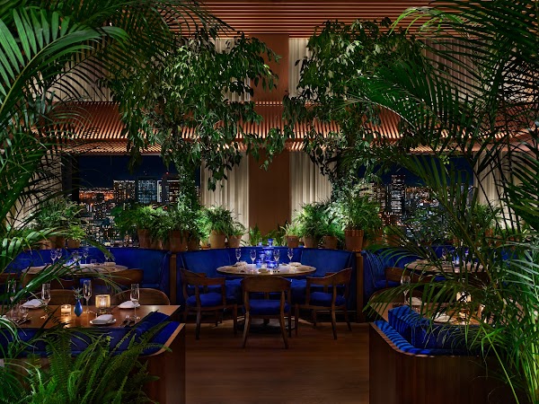 The Blue Room