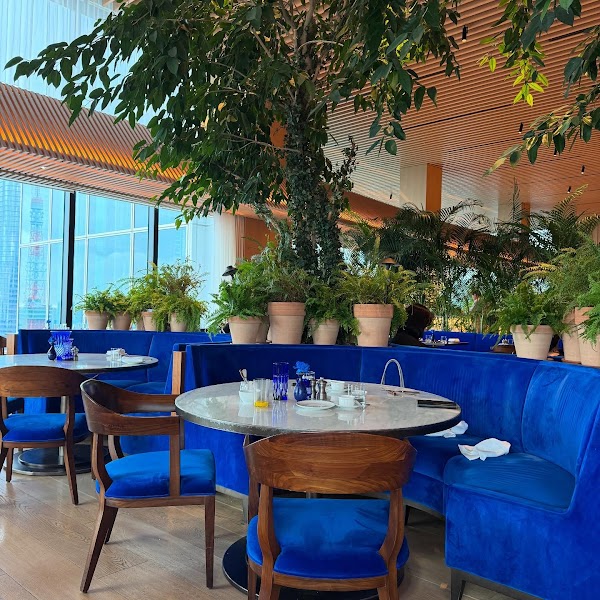 The Blue Room 5
