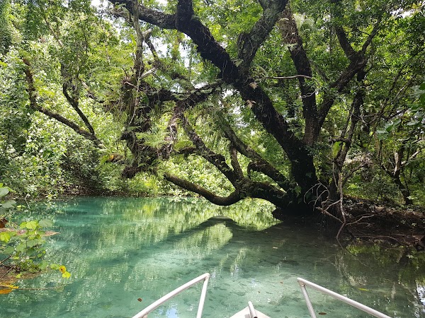 Matevulu Blue Hole 4