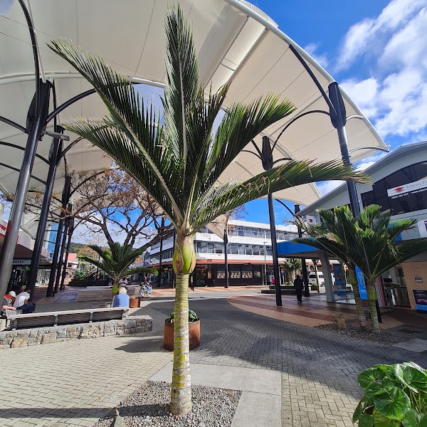 Whangārei 4