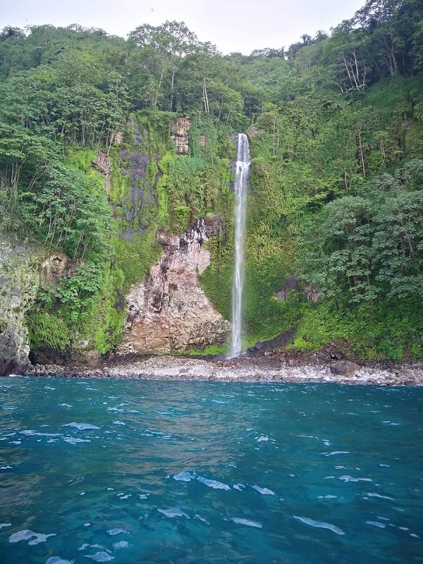 Cocos Island 5