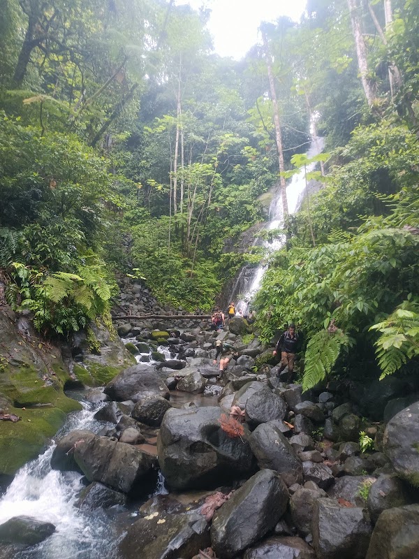 Cocos Island 2