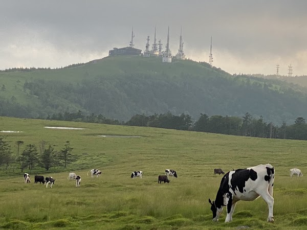Utsukushigahara Highland 4