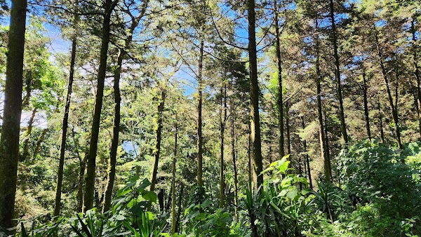 Cerro El Aguila 4