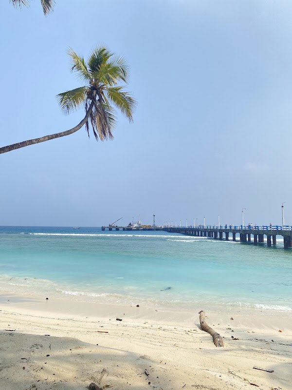Kalpitty Island Lakshadweep