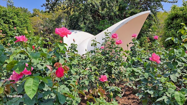 People's Park 4