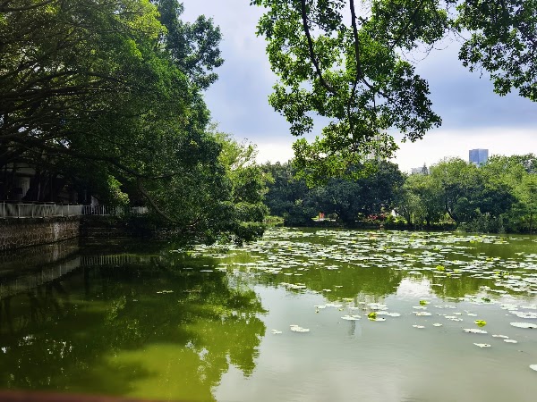 People's Park 3