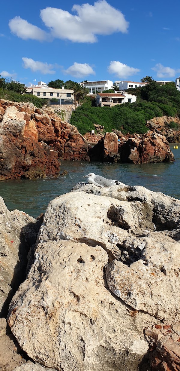 Cala Es Canutells 4