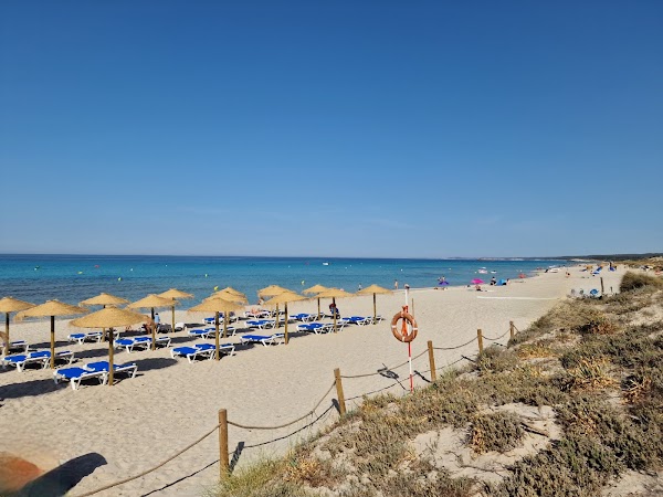 Platja de Son Bou
