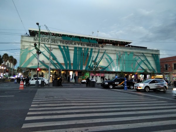 Plaza Garibaldi 5