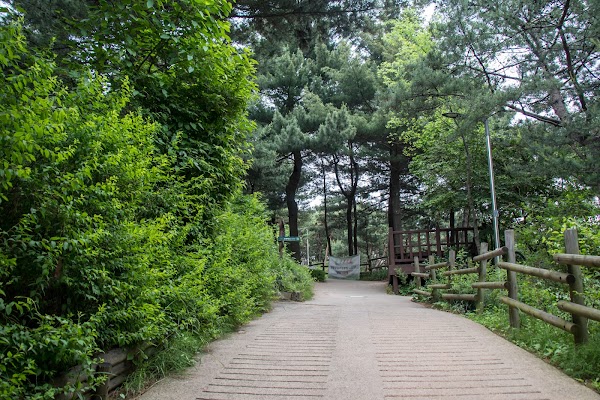 Namsan Outdoor Botanical Garden 5