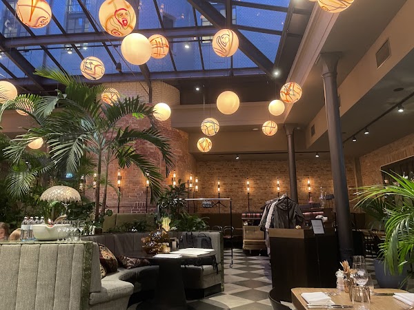 Root Bistro & Bar 5