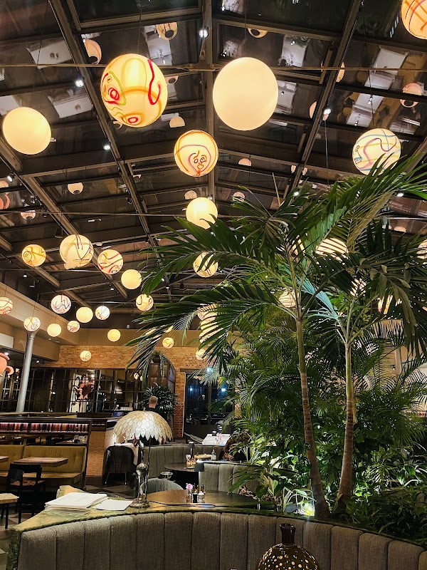 Root Bistro & Bar 2