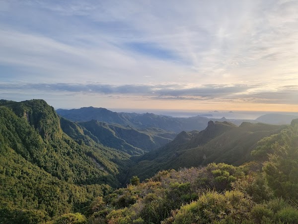 Coromandel Forest Park