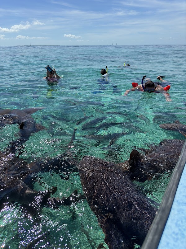Belize 🐠🪸 10
