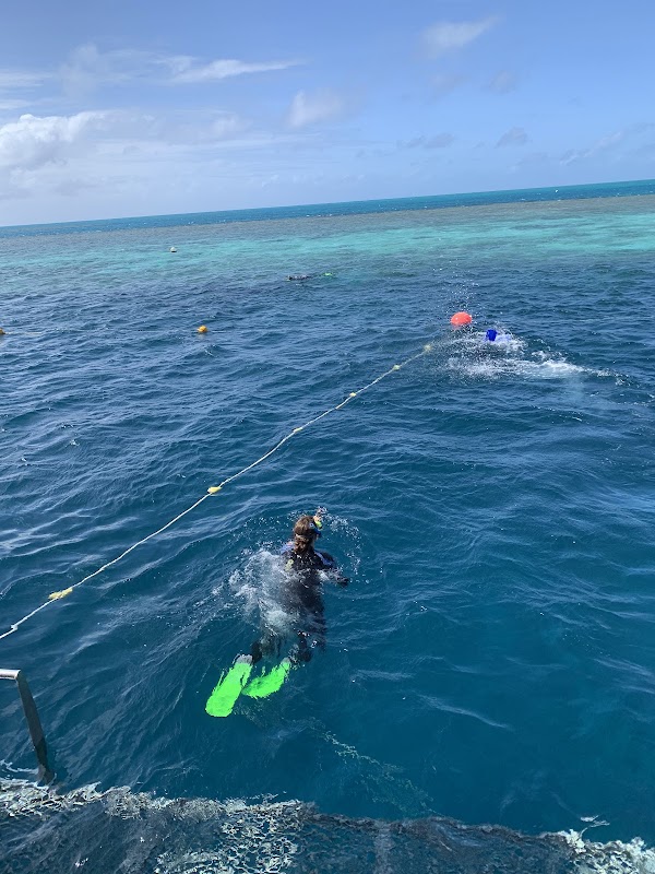 Heart Reef 5
