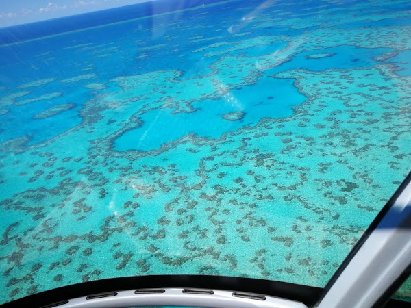 Heart Reef 4
