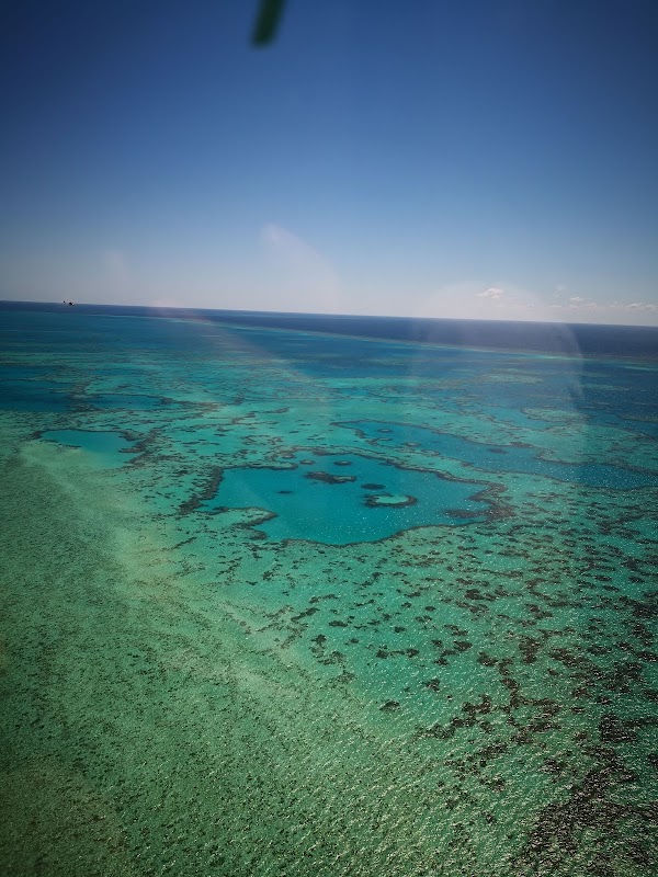 Heart Reef 2
