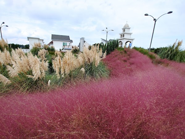 Jeju herb garden