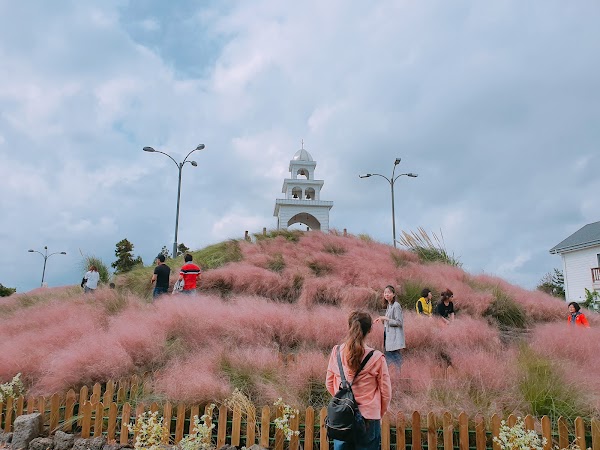Jeju herb garden 5