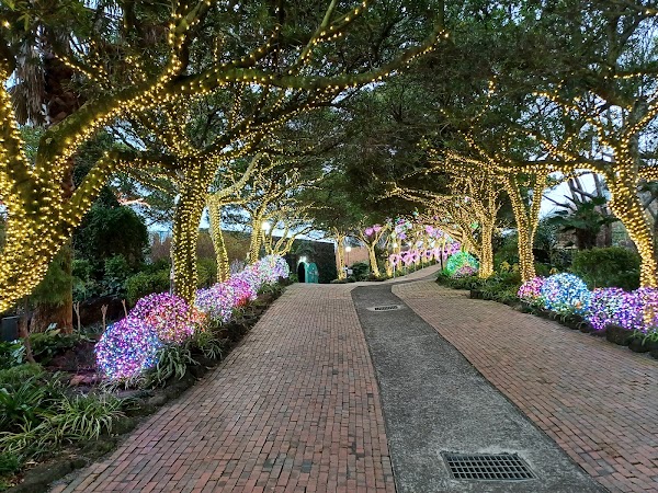 Jeju herb garden 3