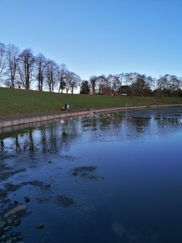 Inverleith 5