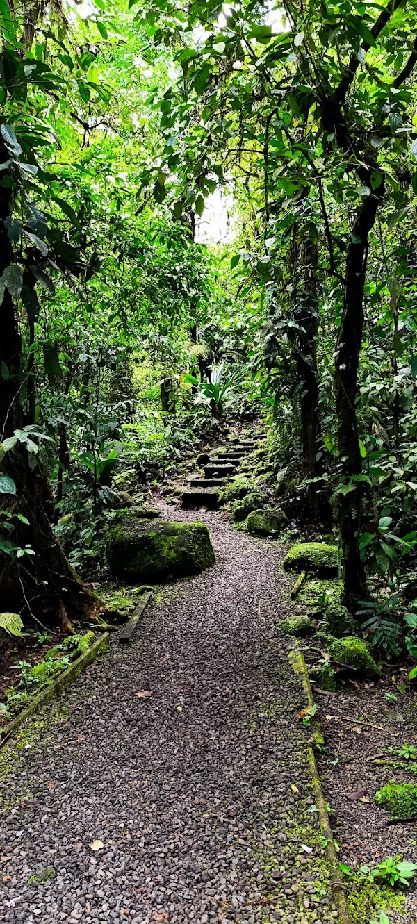 Braulio Carrillo National Park 2