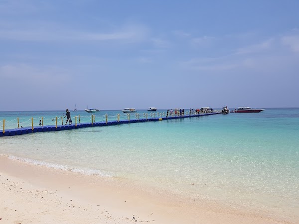 Koh Rok Yai Beach 3