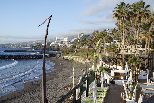 Monkey Beach Club 5