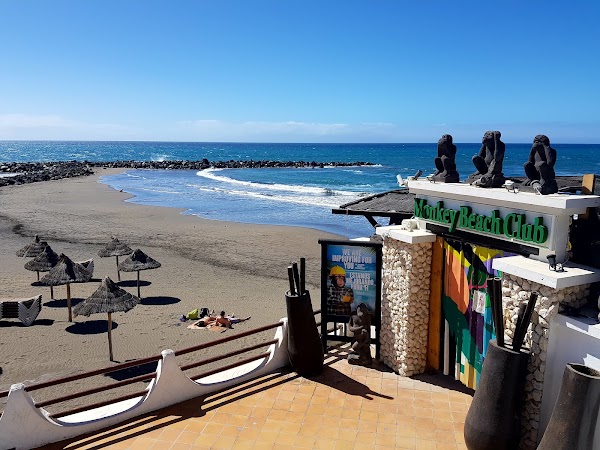 Monkey Beach Club 4
