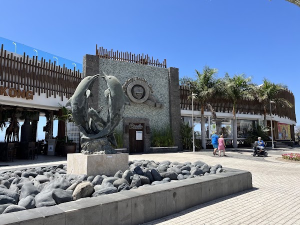 Monkey Beach Club 2