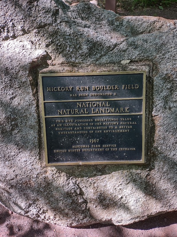 Hickory Run Boulder Field 4