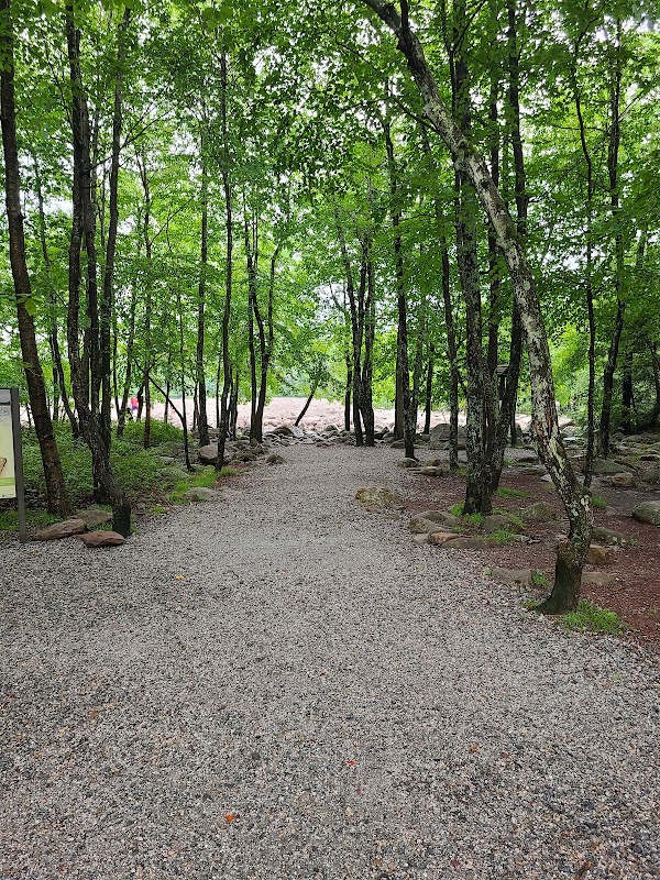 Hickory Run Boulder Field 2