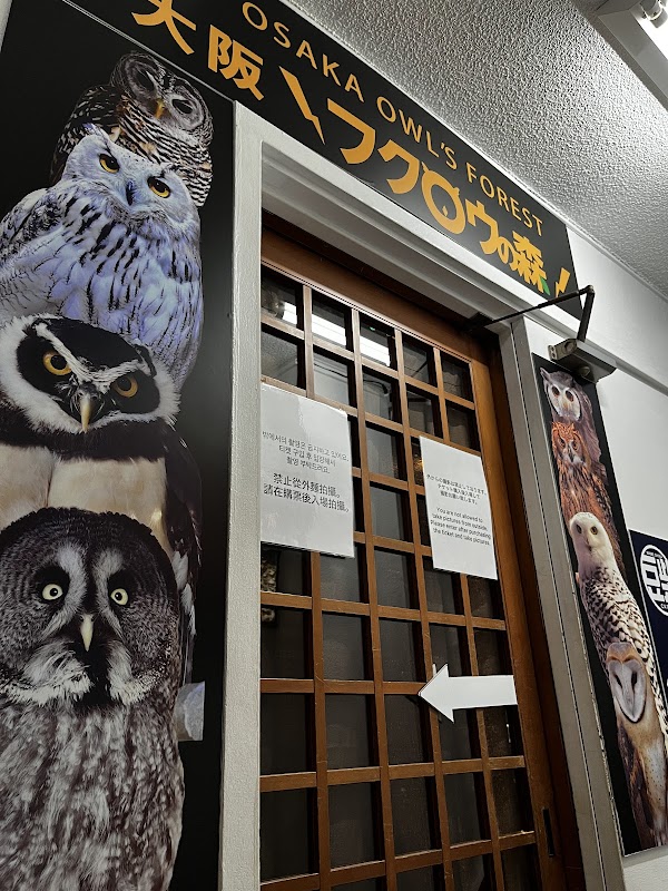 Mame Shiba Cafe