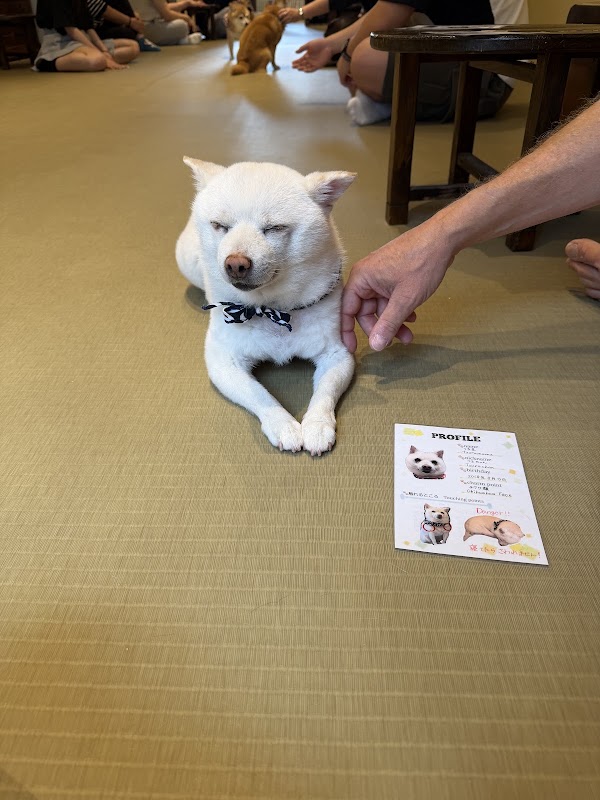 Mame Shiba Cafe 3