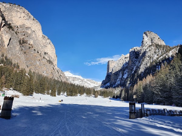 Langental 5