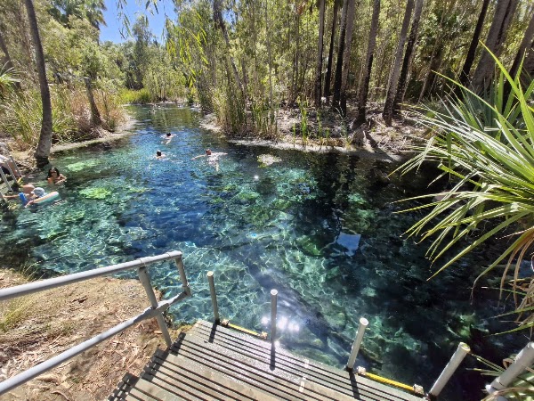 Mataranka Hot springs