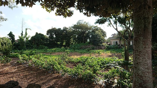 Dansan Farm 2