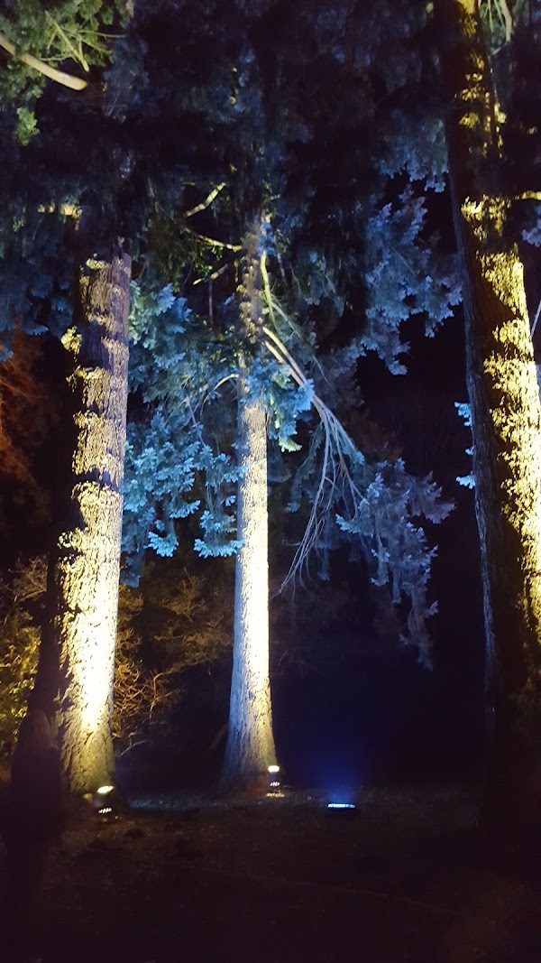 Westonbirt 3