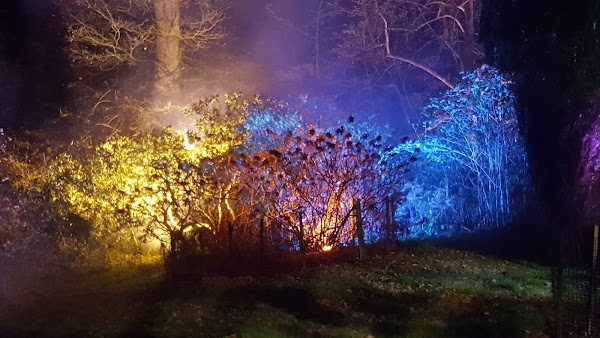 Westonbirt 2
