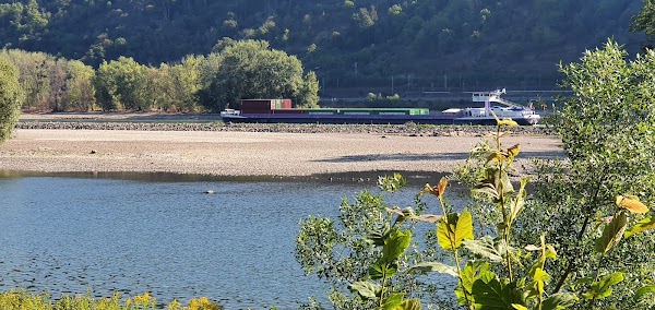 Bacharach 4