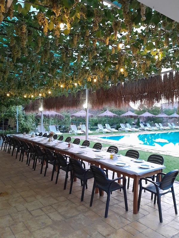 Bar restaurant "Kompleksi Holta" 1
