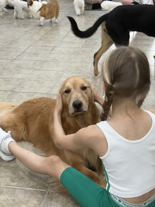 Sunny's Dog Cafe 2